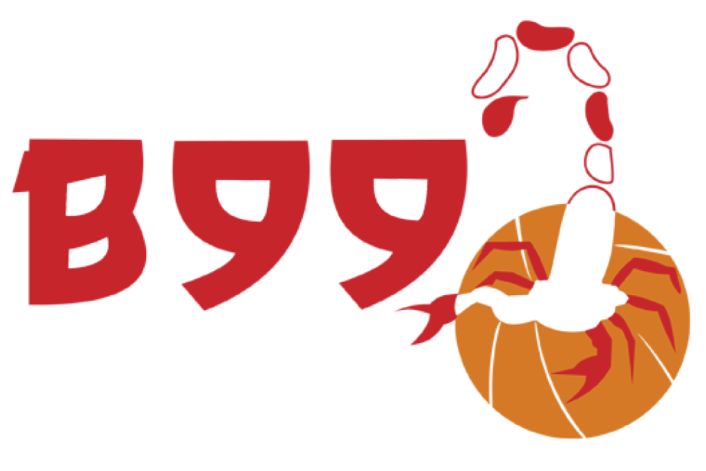 伯纳雷吉奥蒸汽炉 logo