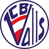 CB瓦尔斯 logo